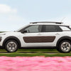Citroën C4 Cactus (2014 - 2020) - LPDD Conseil | Fiche fiabilité - Fiche fiabilité | Voiture fiable